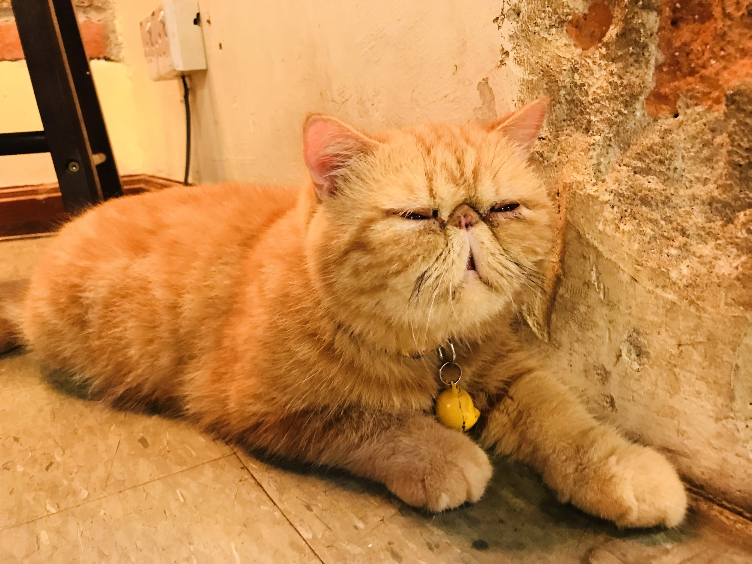 Clawset-42.jpg