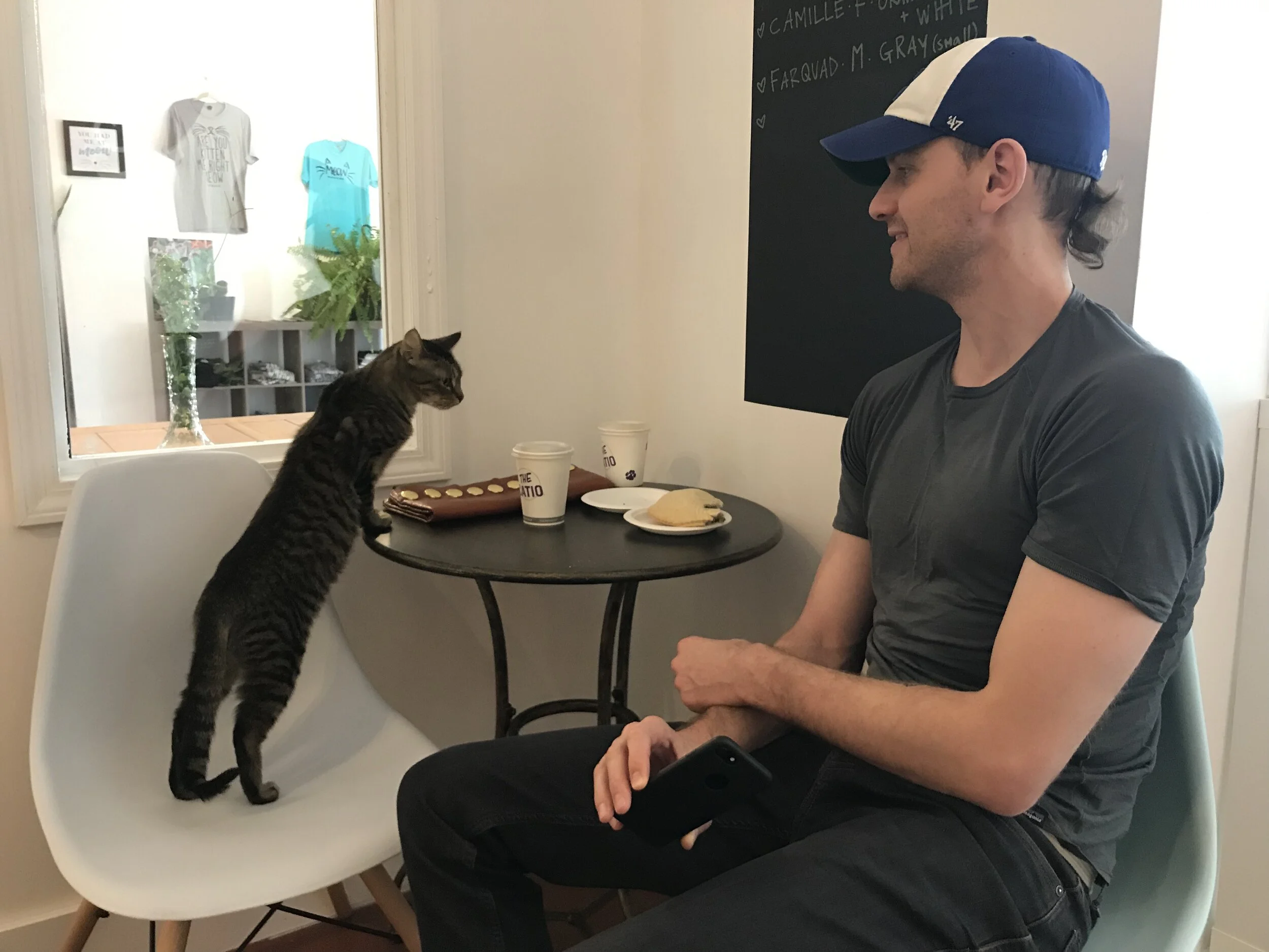 The Catio-44.jpg