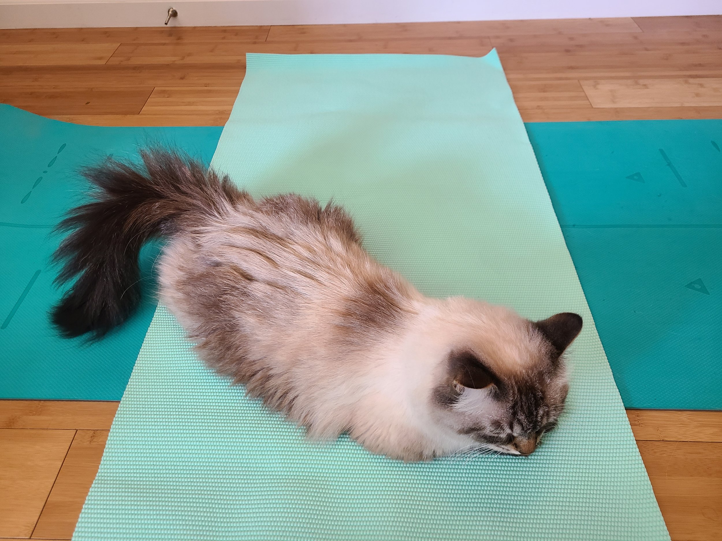 Crossways yoga mats