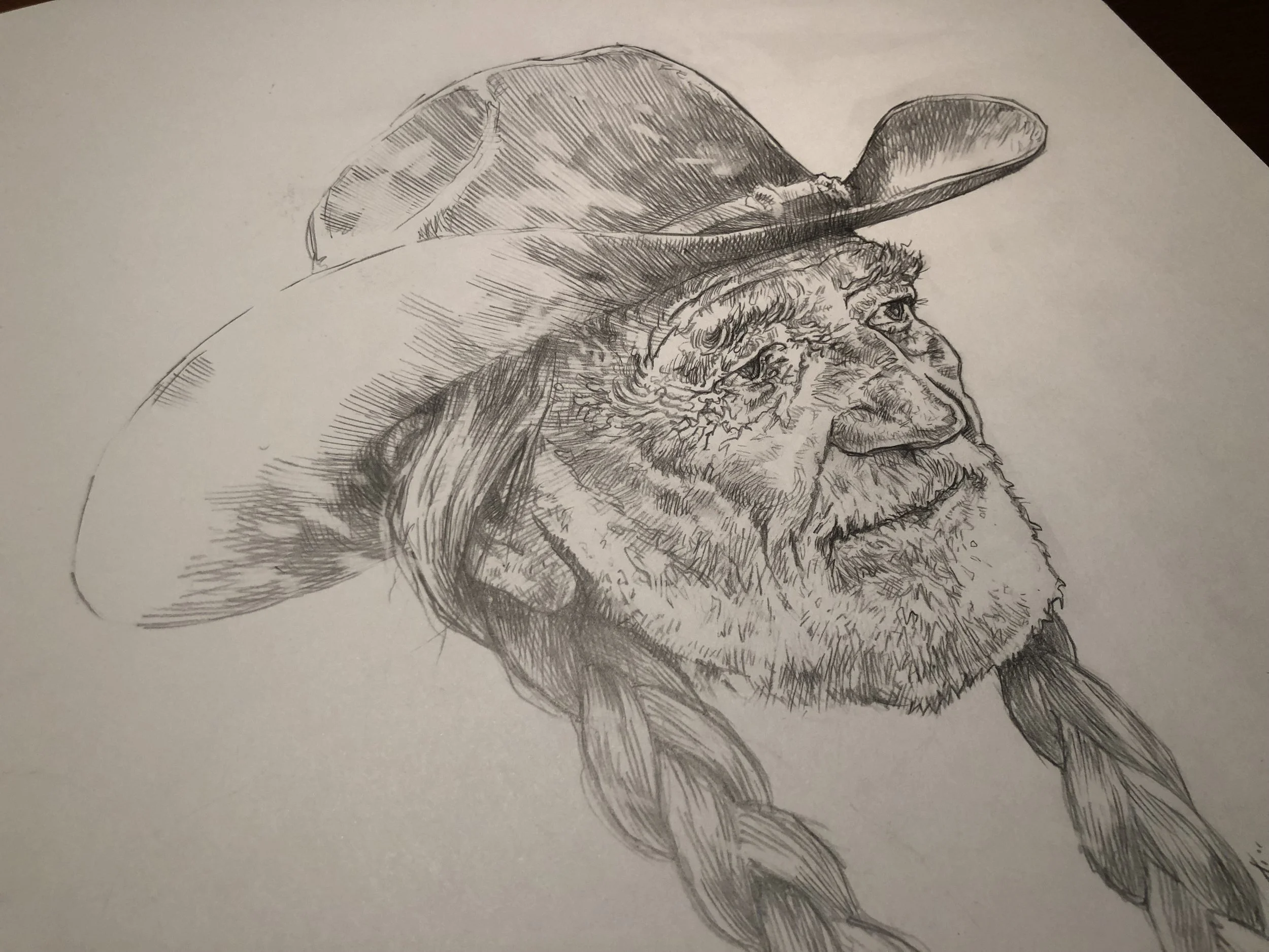willie-nelson_american-outlaw_garrett-morlan_sketches7.jpg