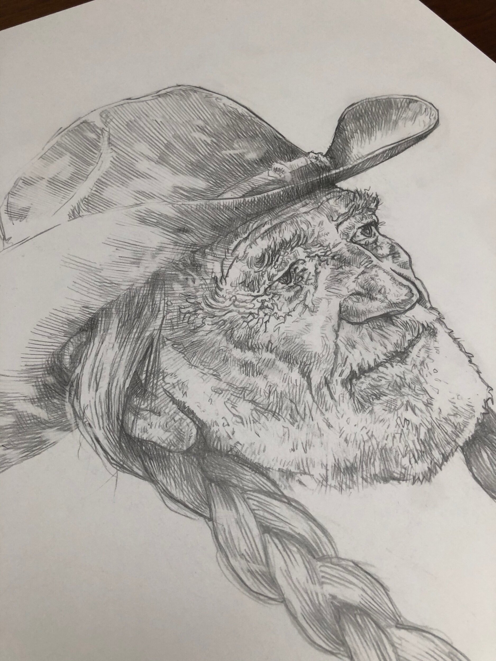 09E5D0FB-01D3-4A5D-8222-2953EC324AF9