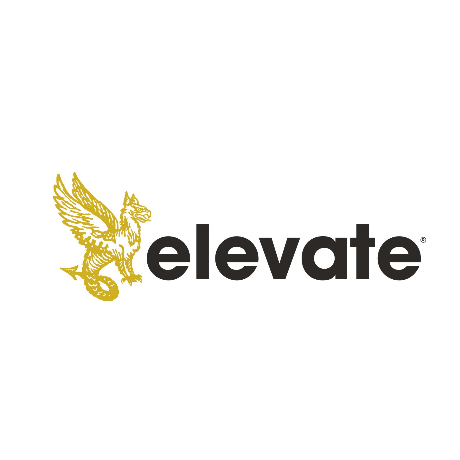 site_images_identity_elevate2.jpg