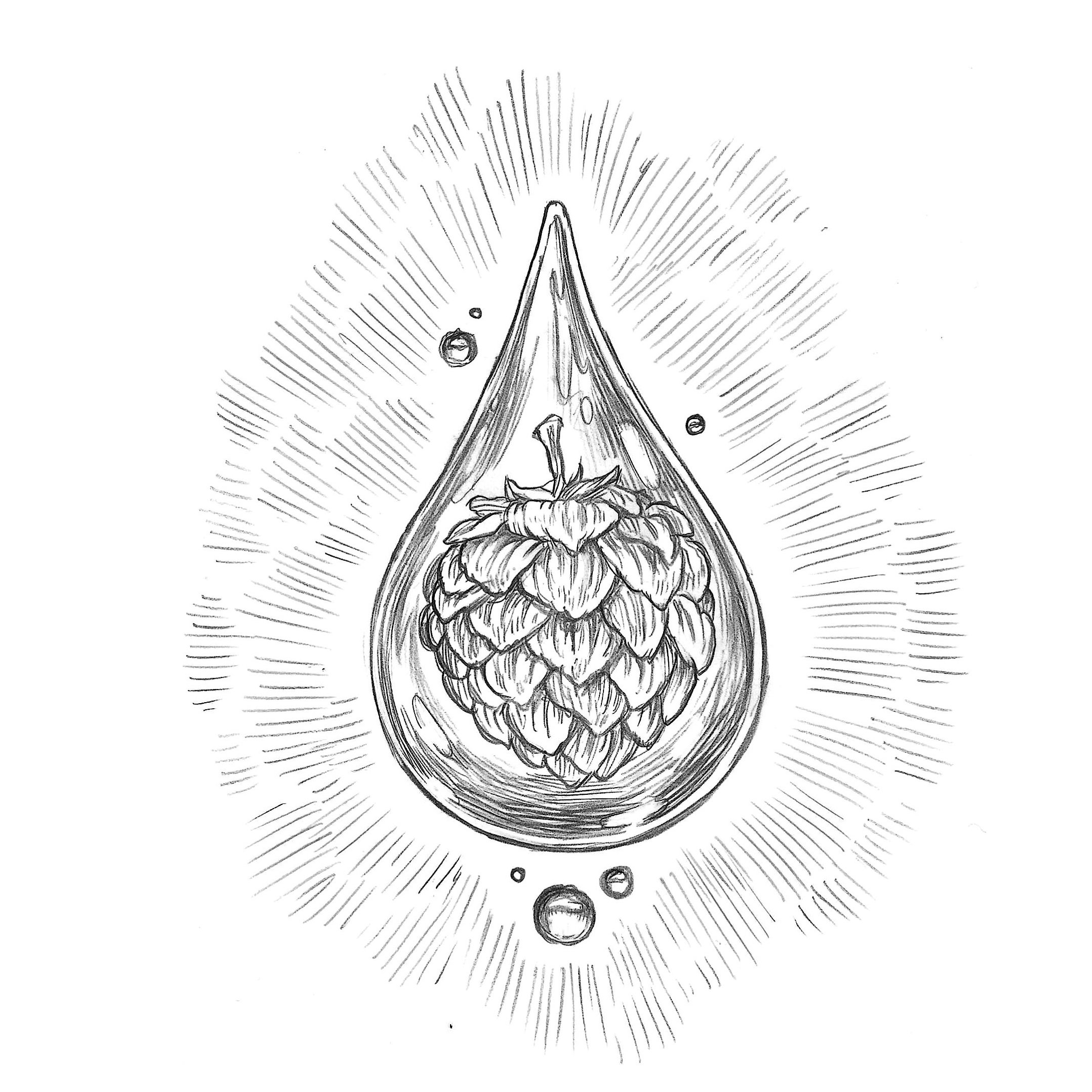 hopwater.jpg