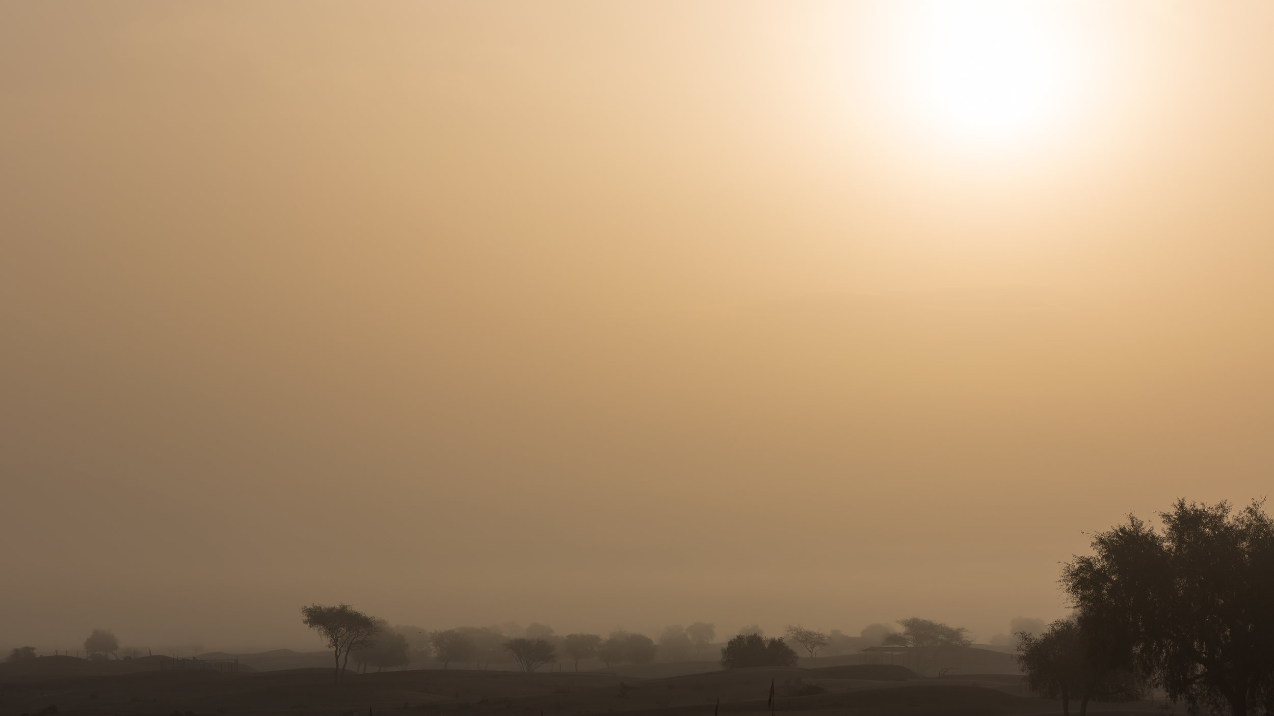 Ras Al Khaimah Desert