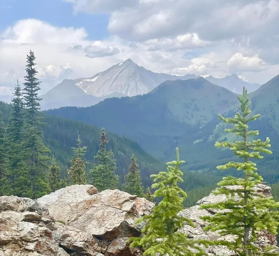 HeatherP- reference photo.jpeg