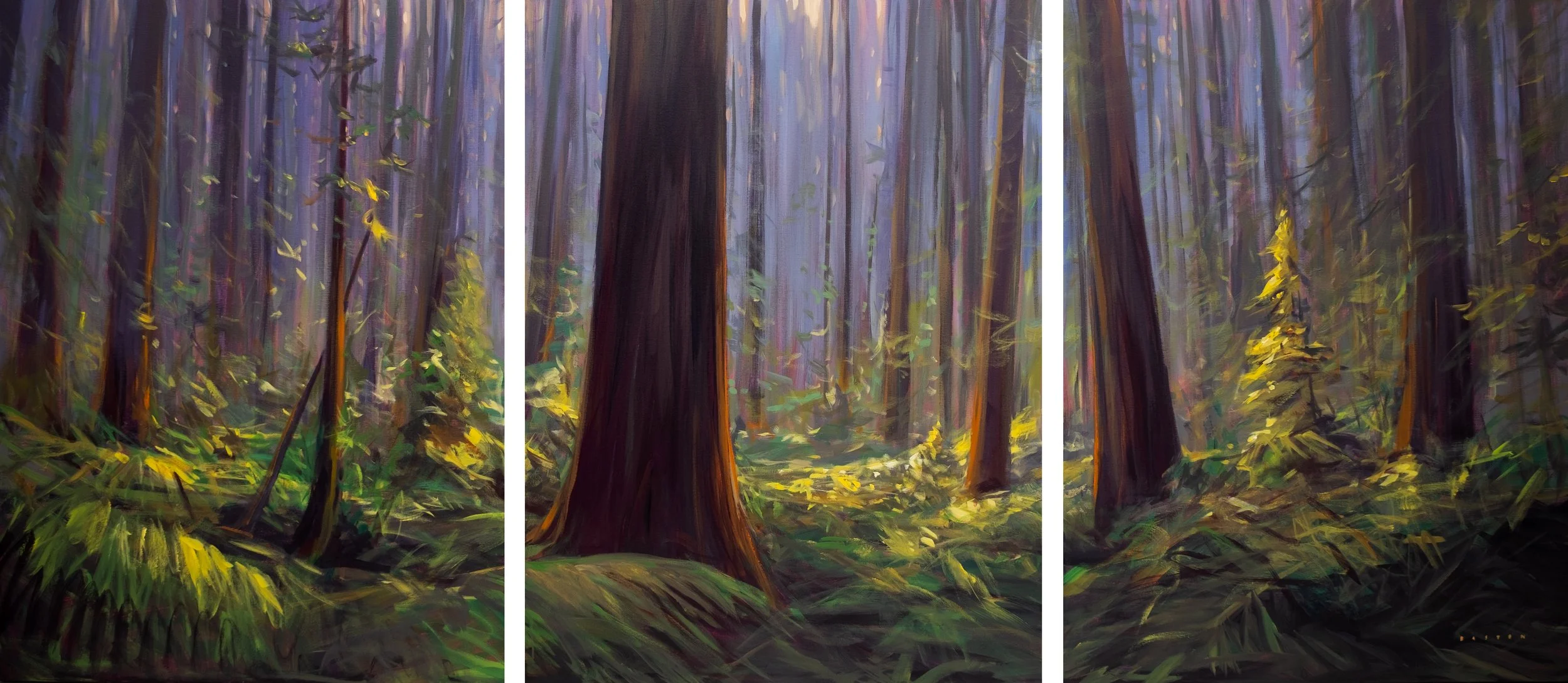 Old Growth Atmosphere 48"x108" Sold