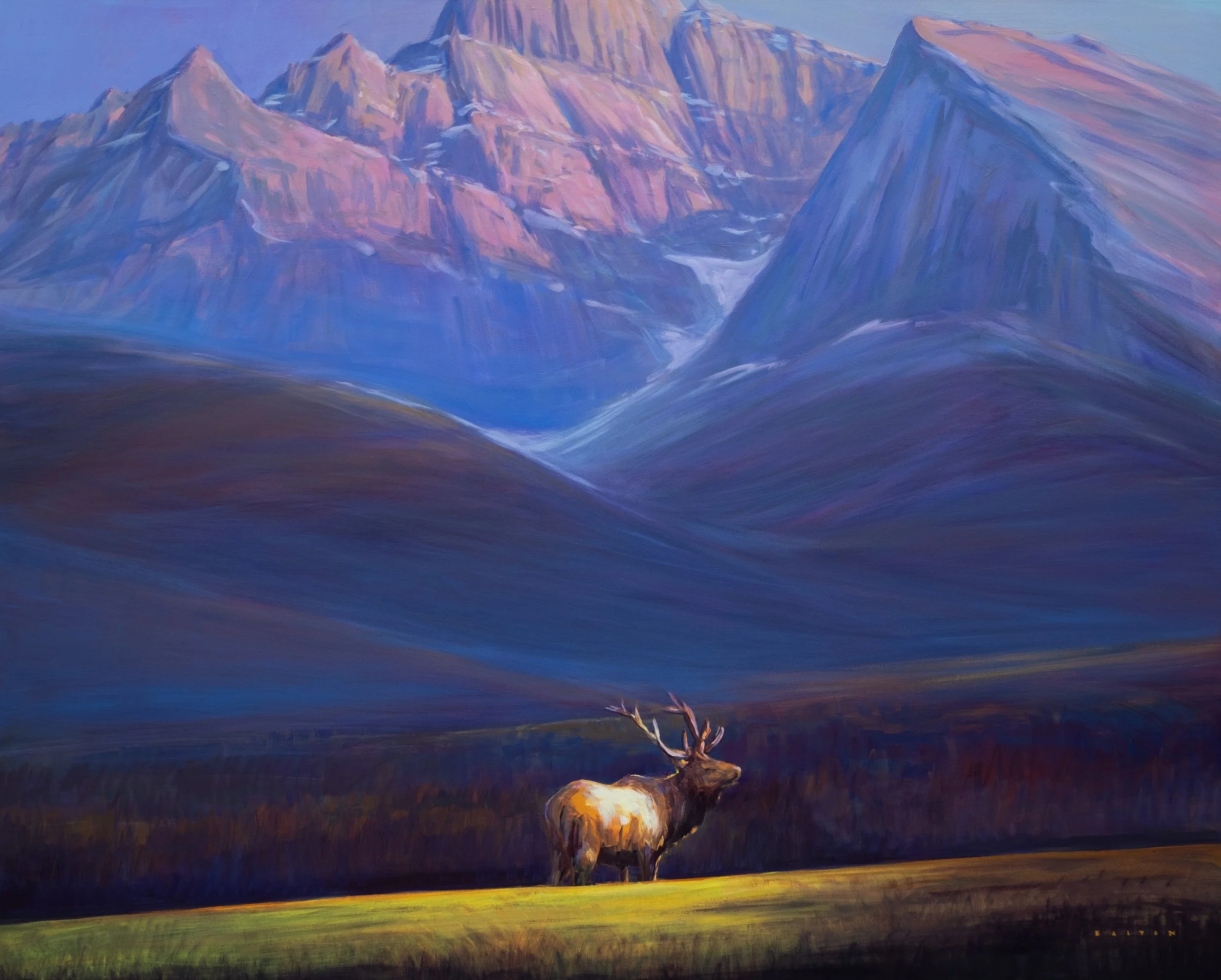 The Monarch of the Rockies 48"x60" available