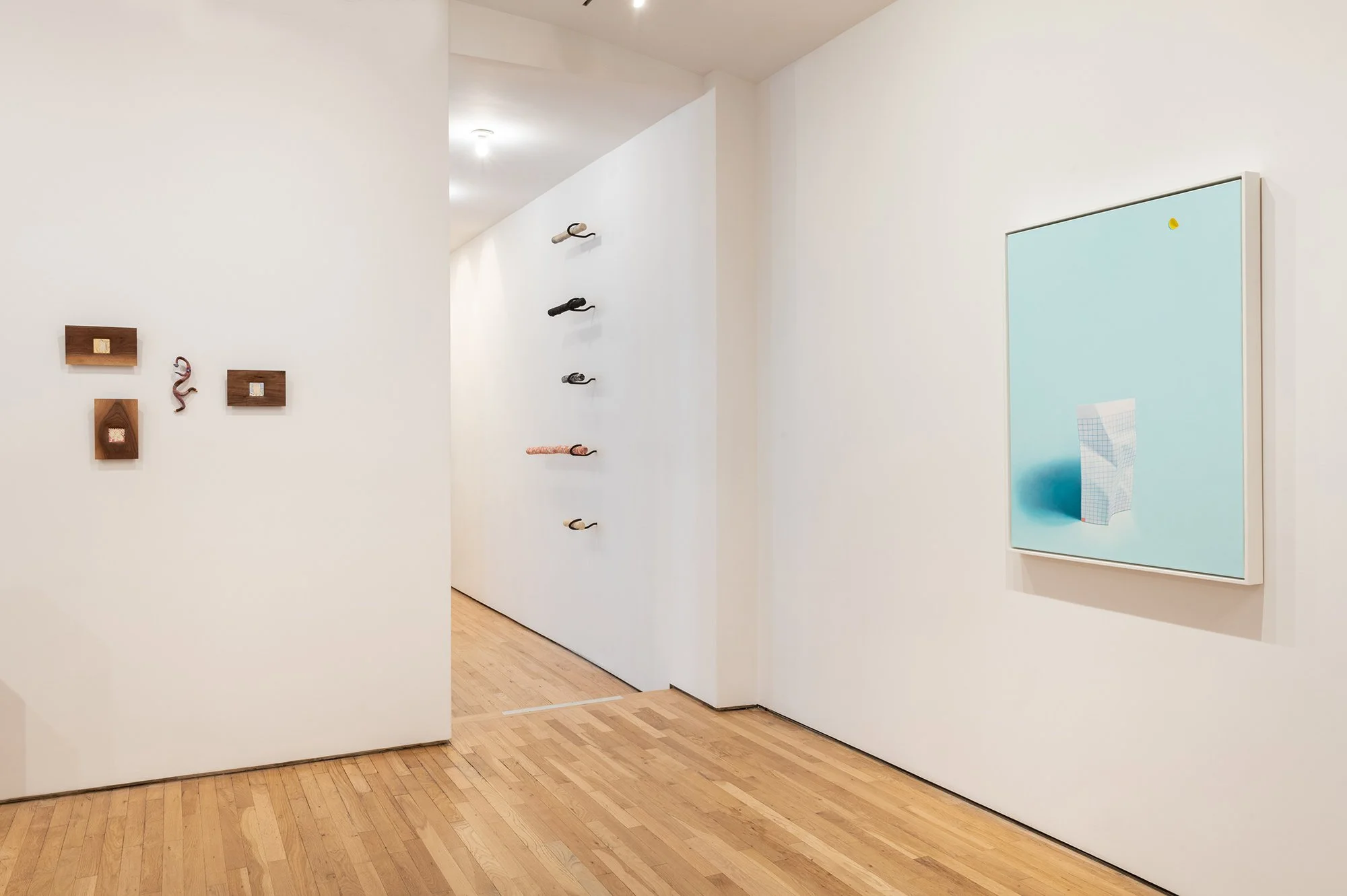   Installation view, photo credit: Adam Reich.  