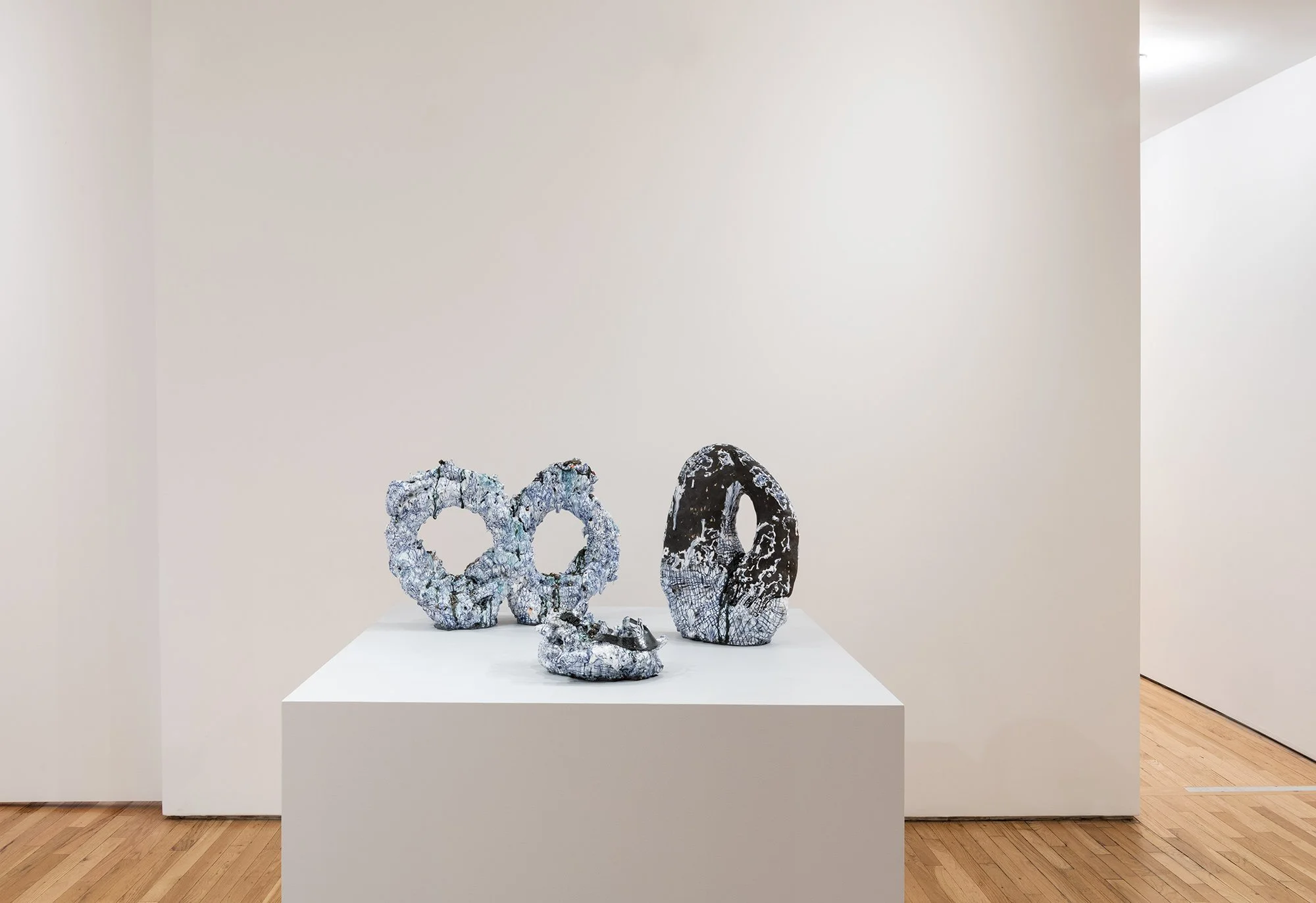   Installation view, photo credit: Adam Reich.  