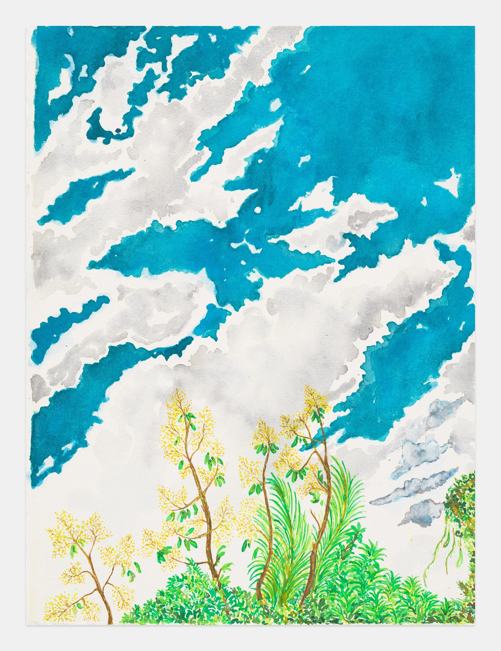 Miguel Ferrando, Untitled (Tree With Yellow Blooms) , 1995, Watercolor on paper, 15 x 11 inches. Photo credit: Christopher Burke Studios.