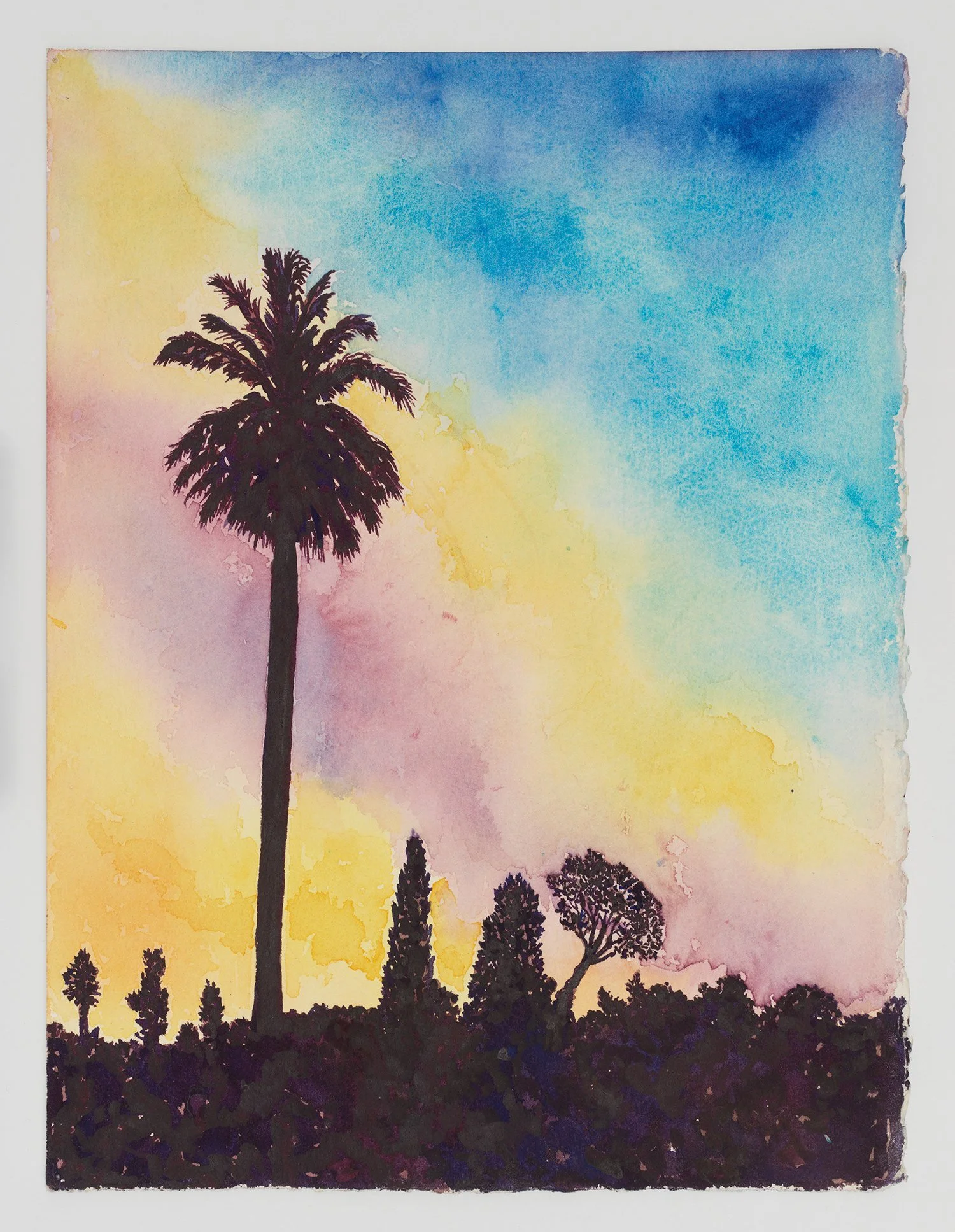 Miguel Ferrando, Untitled (Sunset, Tall Palm Tree) , 1995, Watercolor on paper, 15 x 11 inches. Photo credit: Christopher Burke Studios.