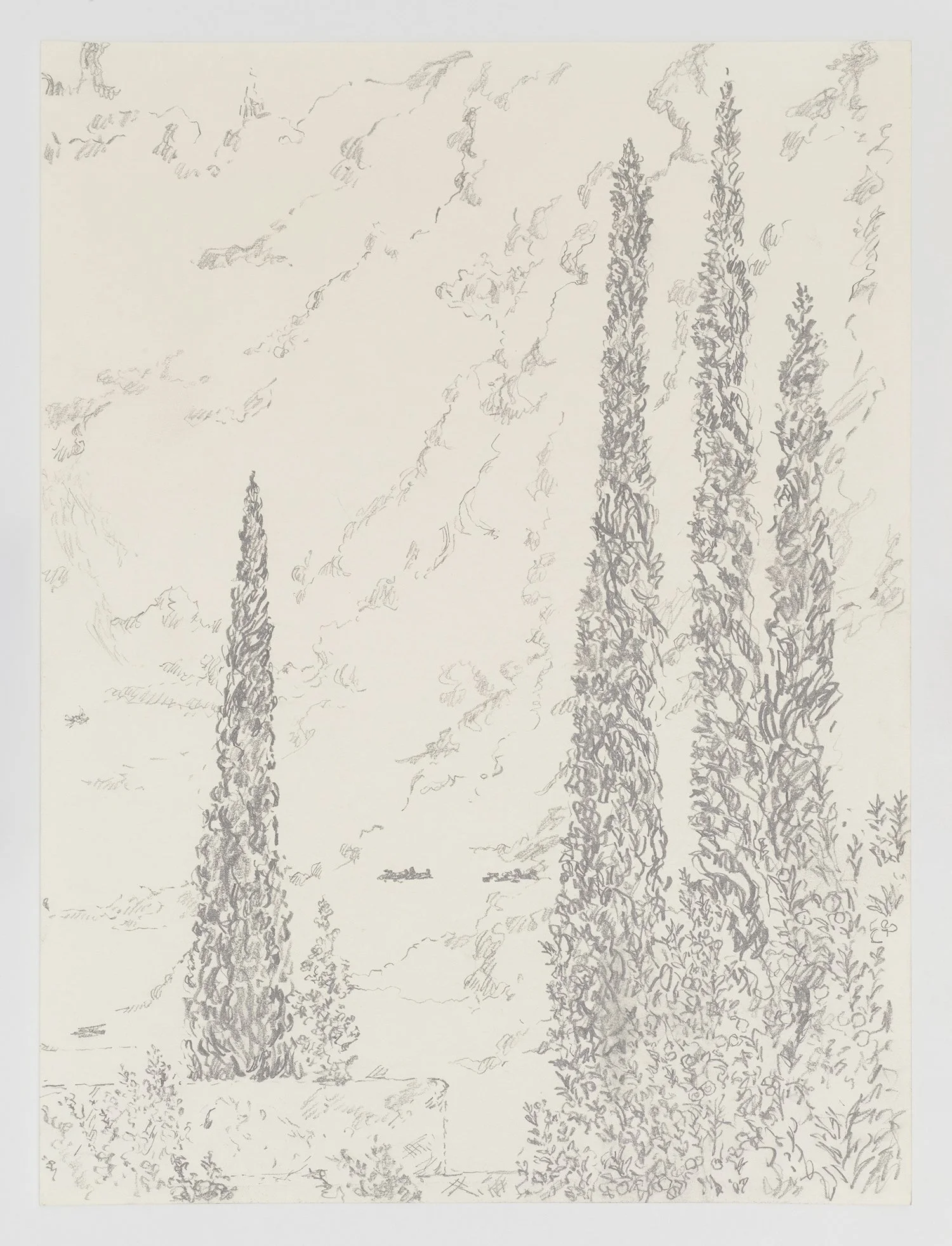 Miguel Ferrando, Untitled (Italian Cyprus) , 1995, Graphite on paper, 15 3/4 x 11 3/4 inches. Photo credit: Christopher Burke Studios.