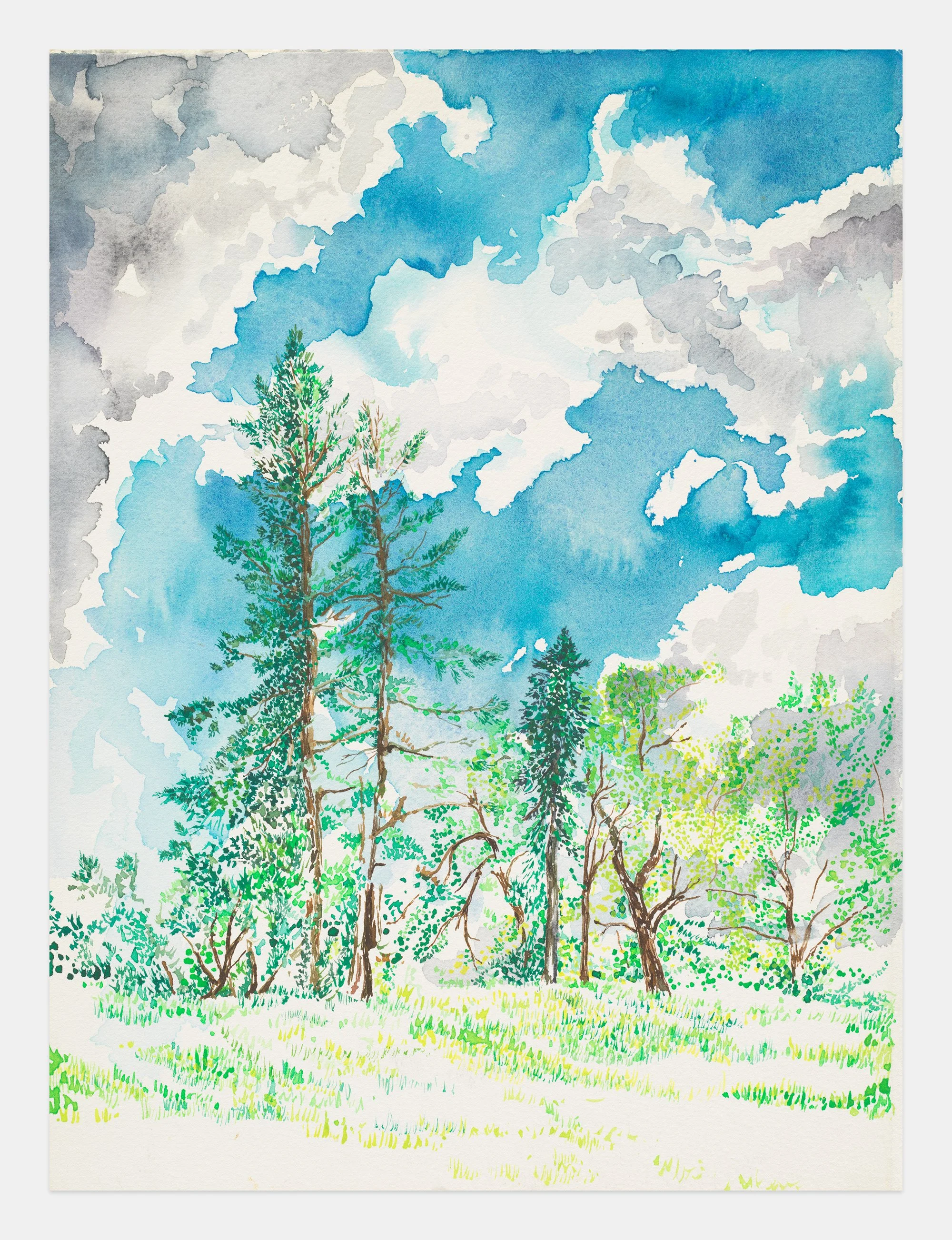 Miguel Ferrando, Untitled (Trees, Blue Sky) , 1995, Watercolor on paper, 15 x 11 3/8 inches. Photo credit: Christopher Burke Studios.