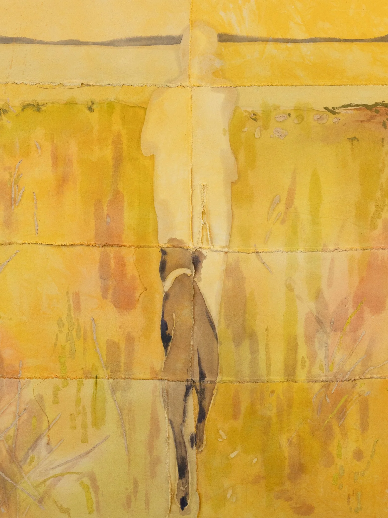 Tessa Greene O’Brien