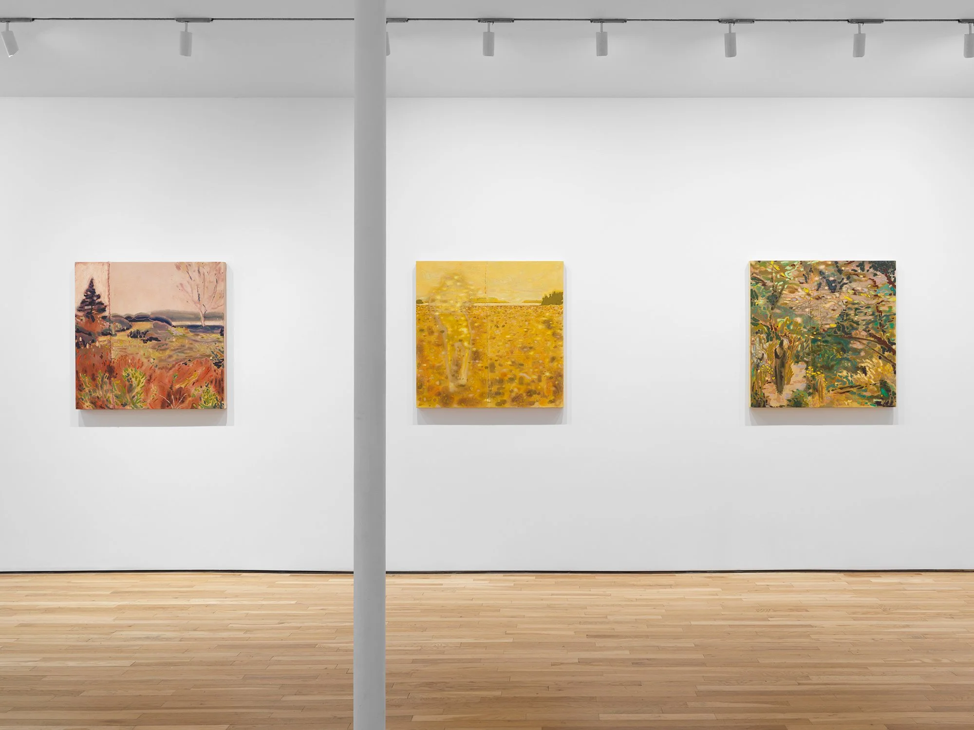   Installation view, photo credit: Matt Grubb.  