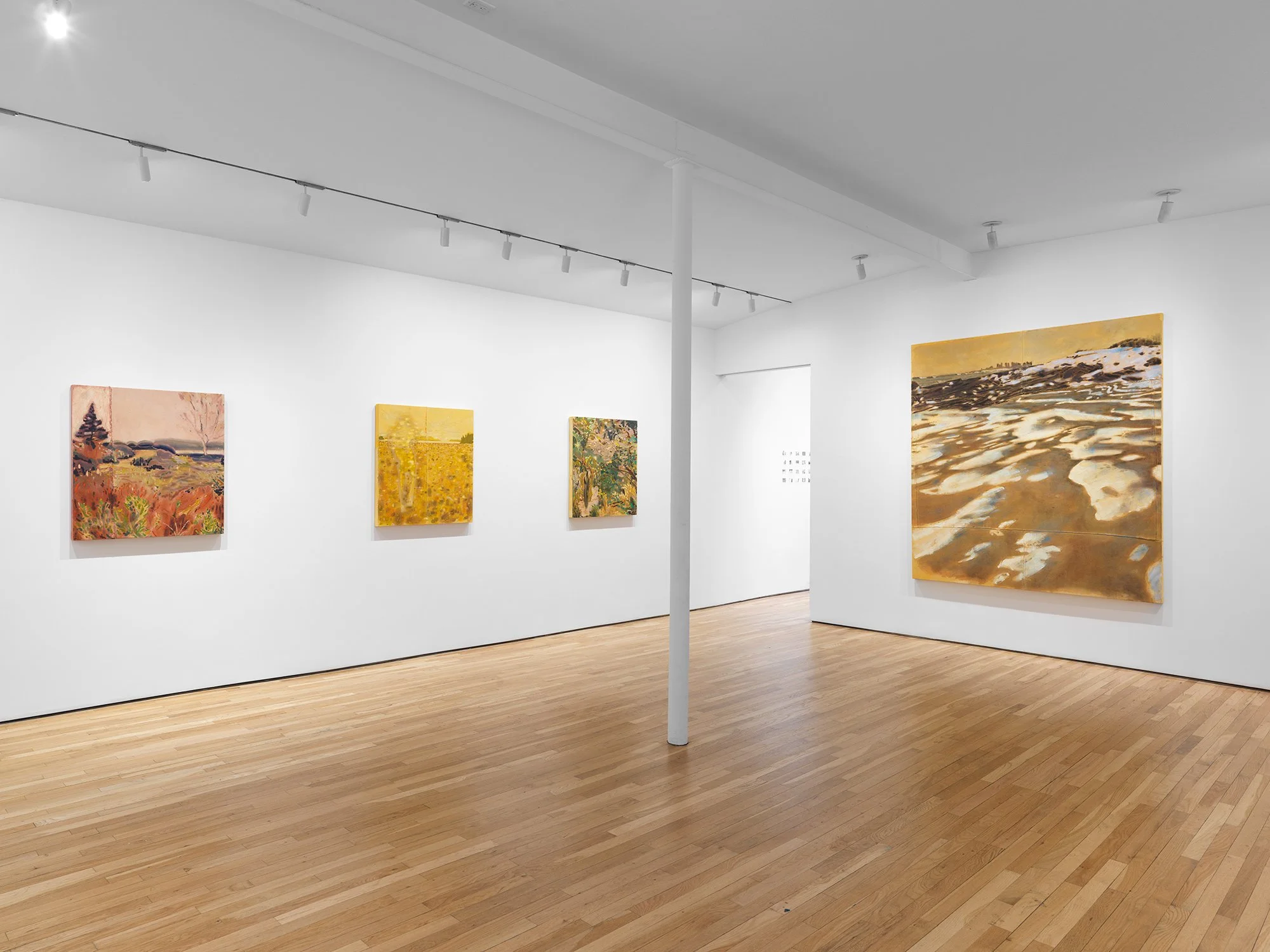   Installation view, photo credit: Matt Grubb.  