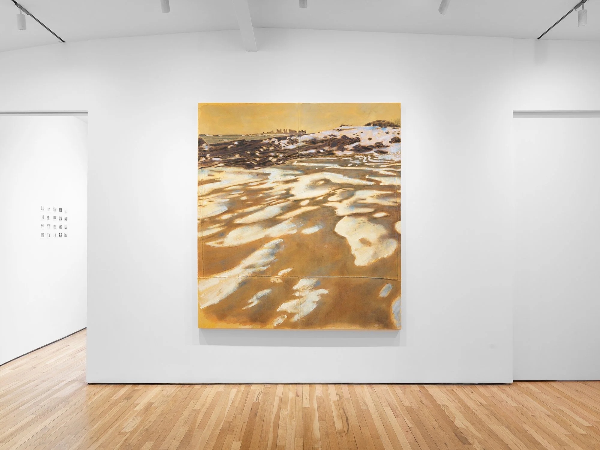   Installation view, photo credit: Matt Grubb.  