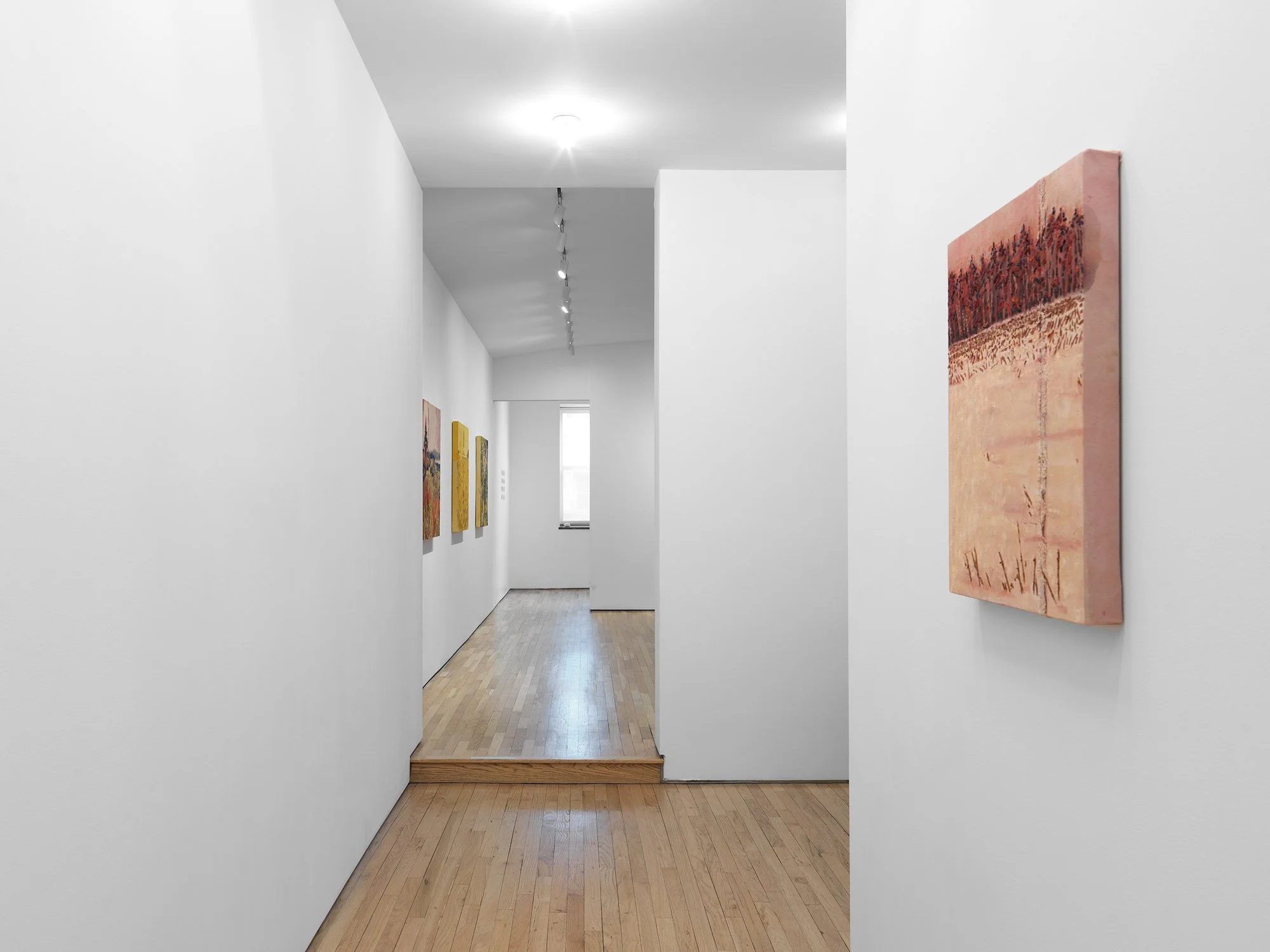   Installation view, photo credit: Matt Grubb.  