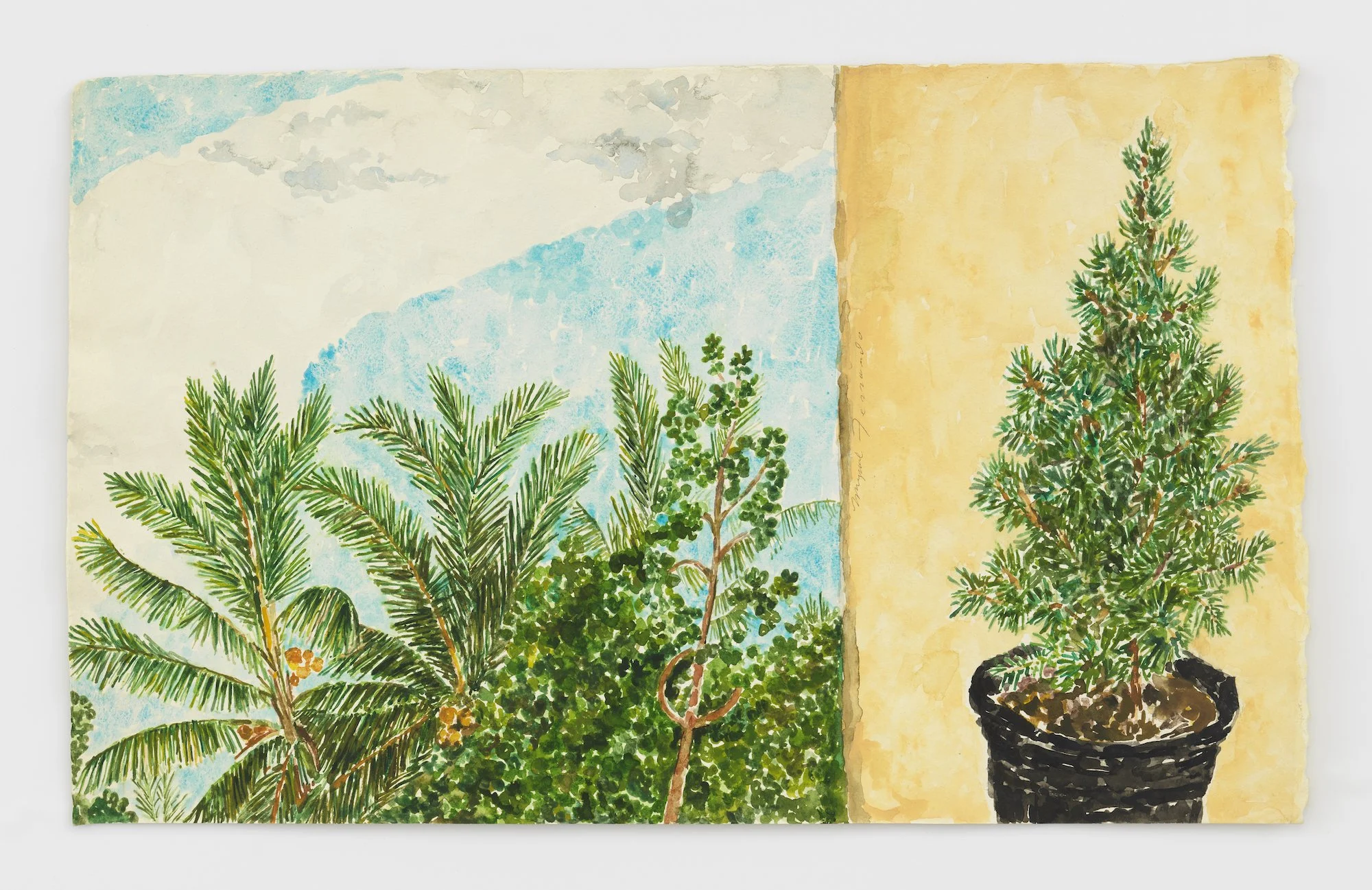   Miguel Ferrando,  Untitled (Coconut Trees and Potted Pine) , ca. 1980–1985, Watercolor and gouache on paper, 11 x 18 inches, Photo credit: Matt Grubb.  