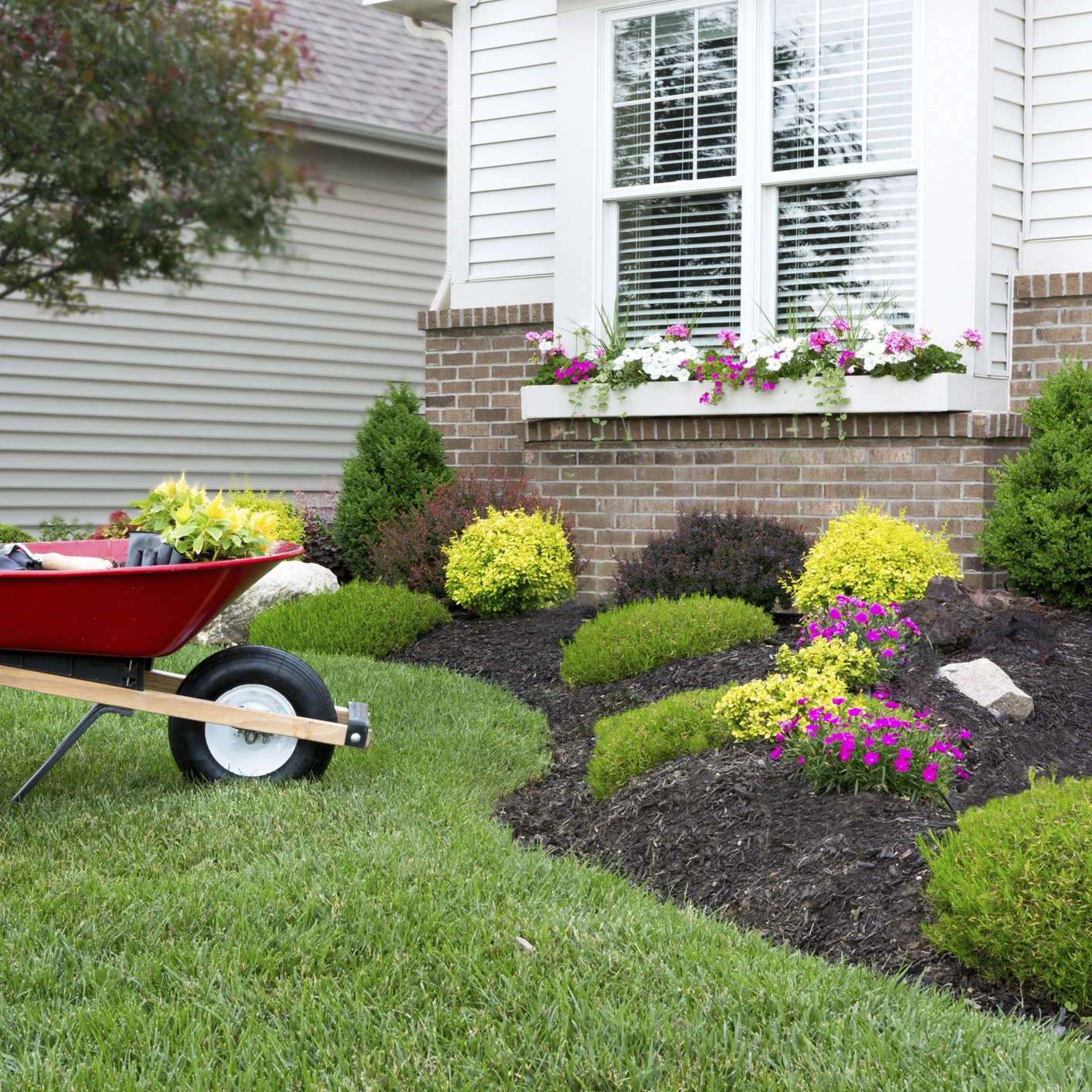 Garden Makeovers