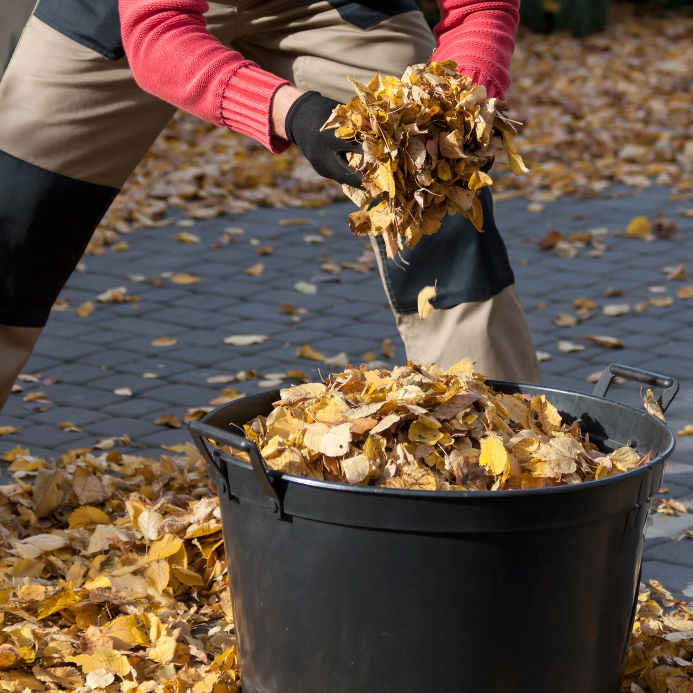 Fall Cleanup and Garden Shutdown