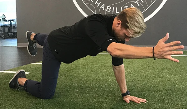Bird Dog Exercise