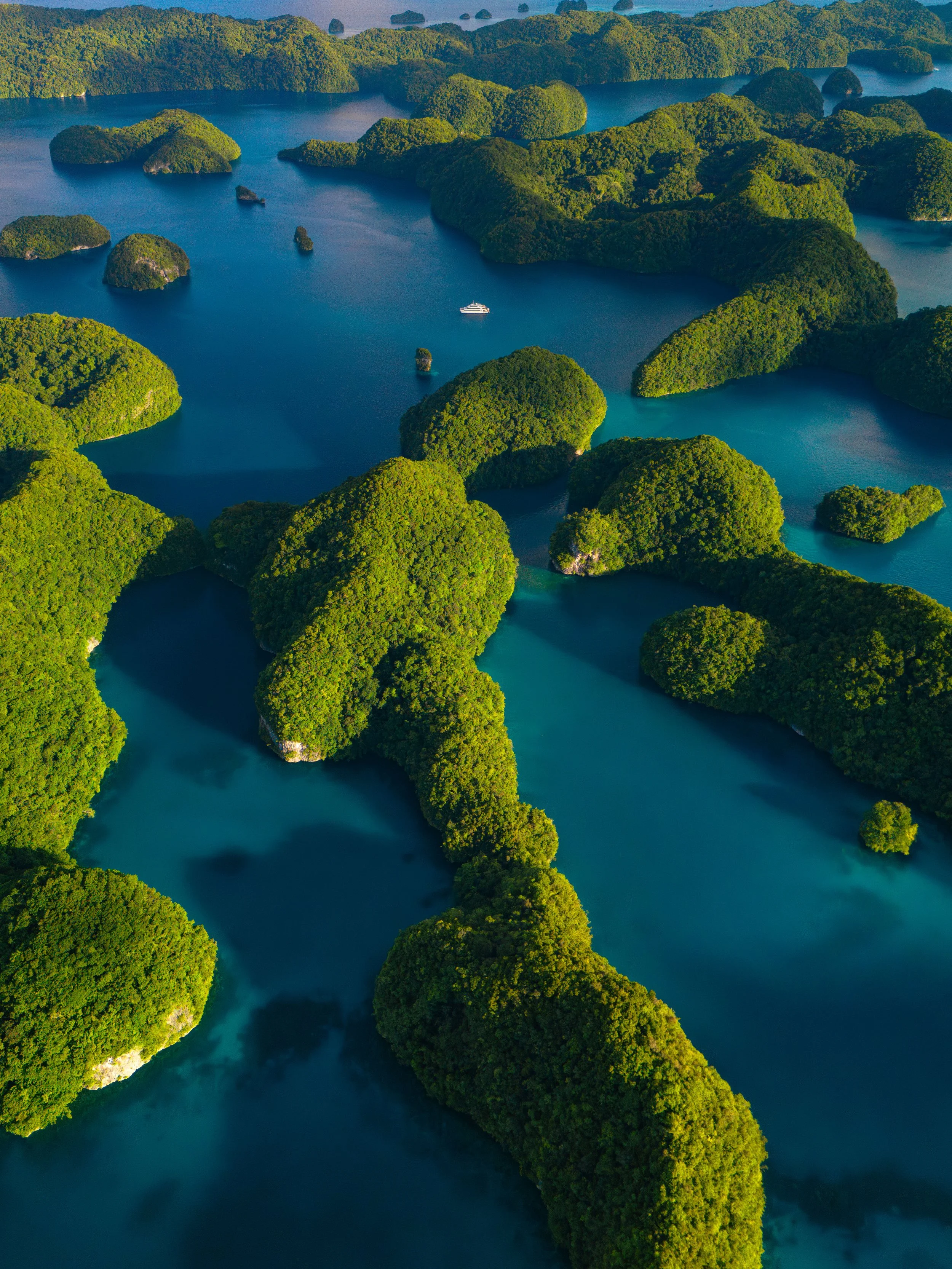 Four Seasons Palau