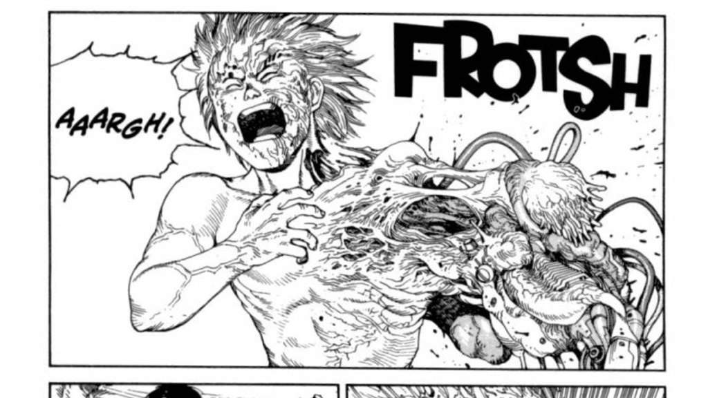 Akira_Panel.jpg