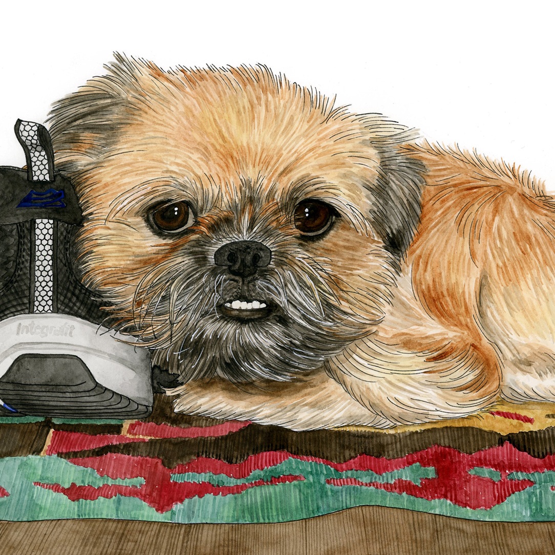 Pet Portraits: Gussie