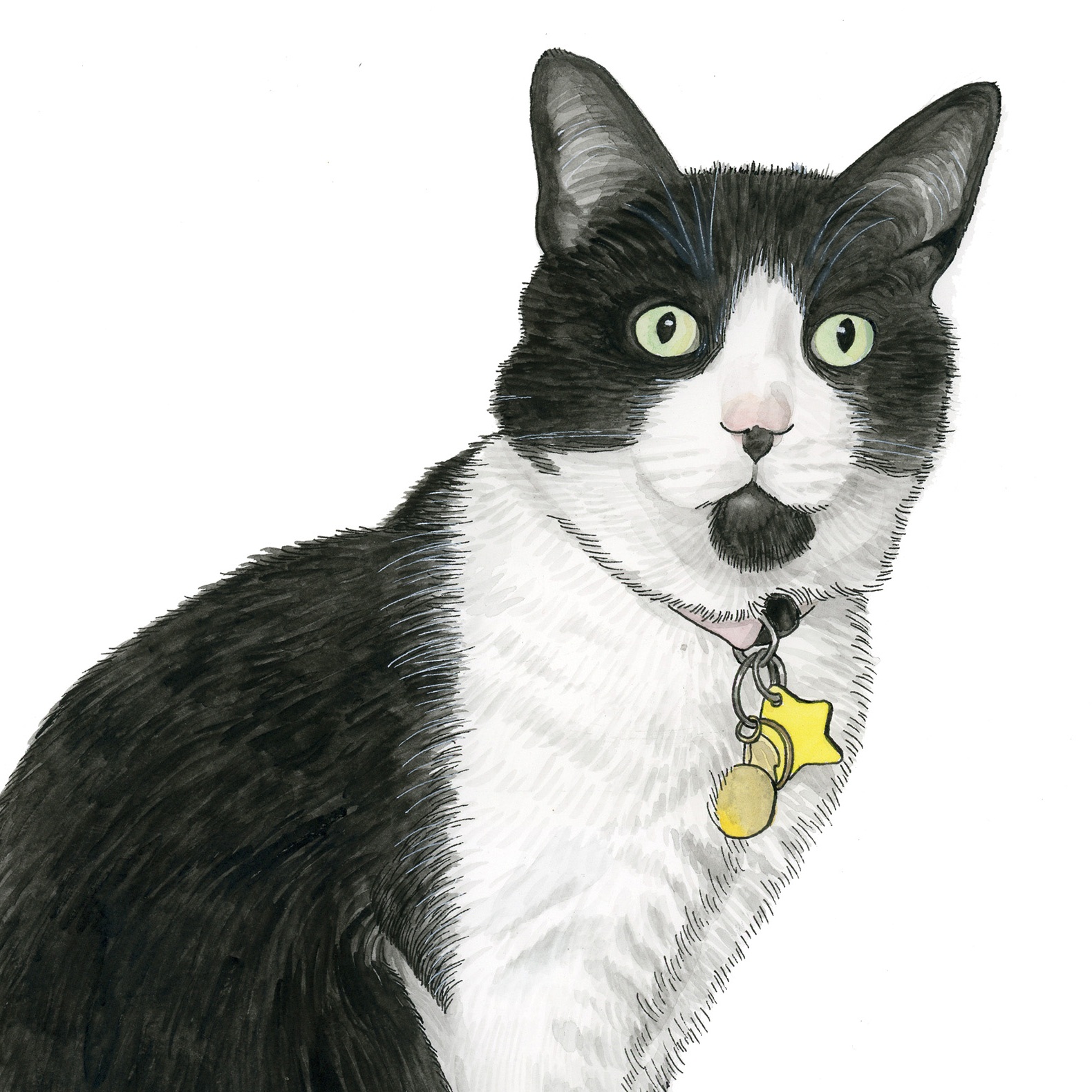 Pet Portraits: Tammy