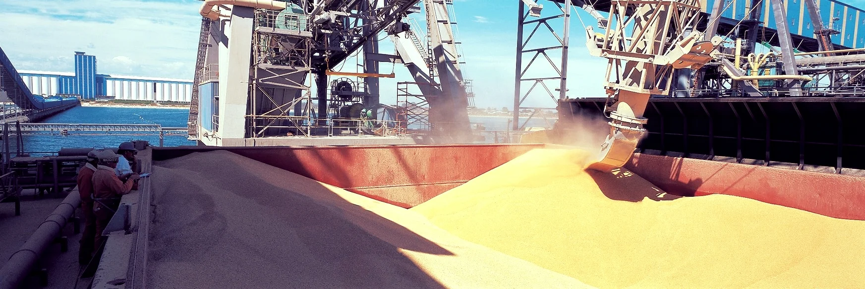 0290E96 LOADING GRAIN de bordered.jpg