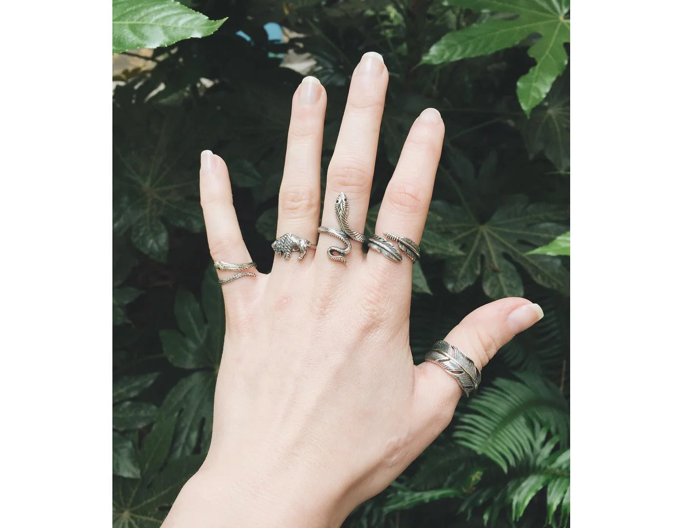 multi_rings.jpg