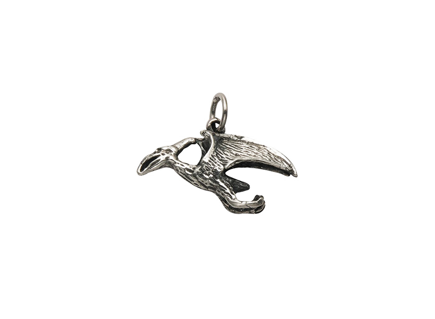 Pteranodon dino pendant.jpg