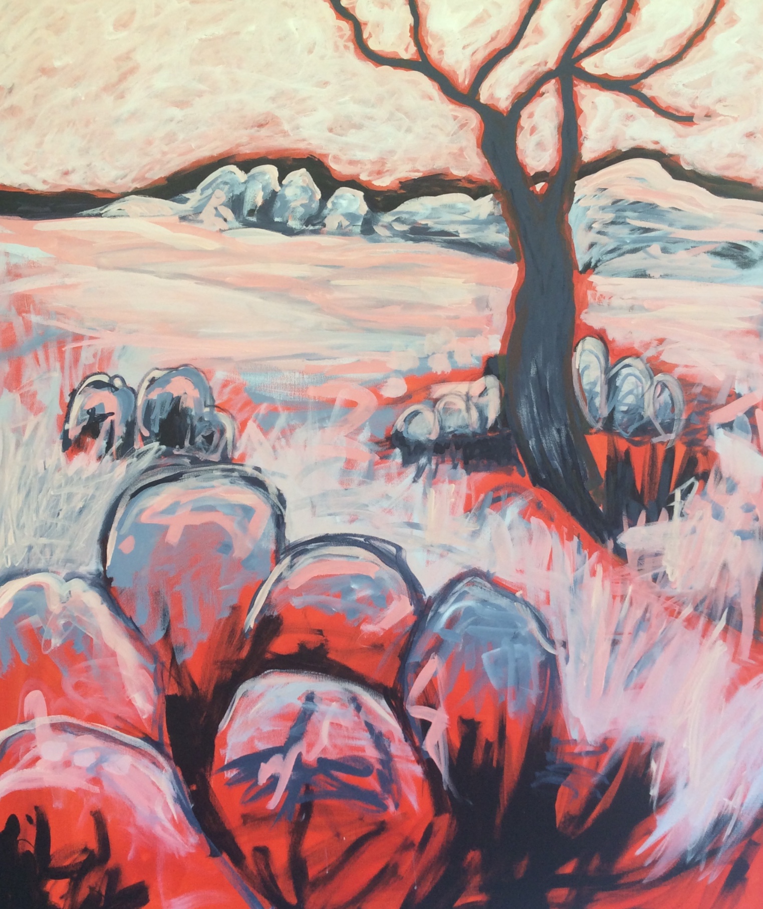 Essence of the Granite Belt