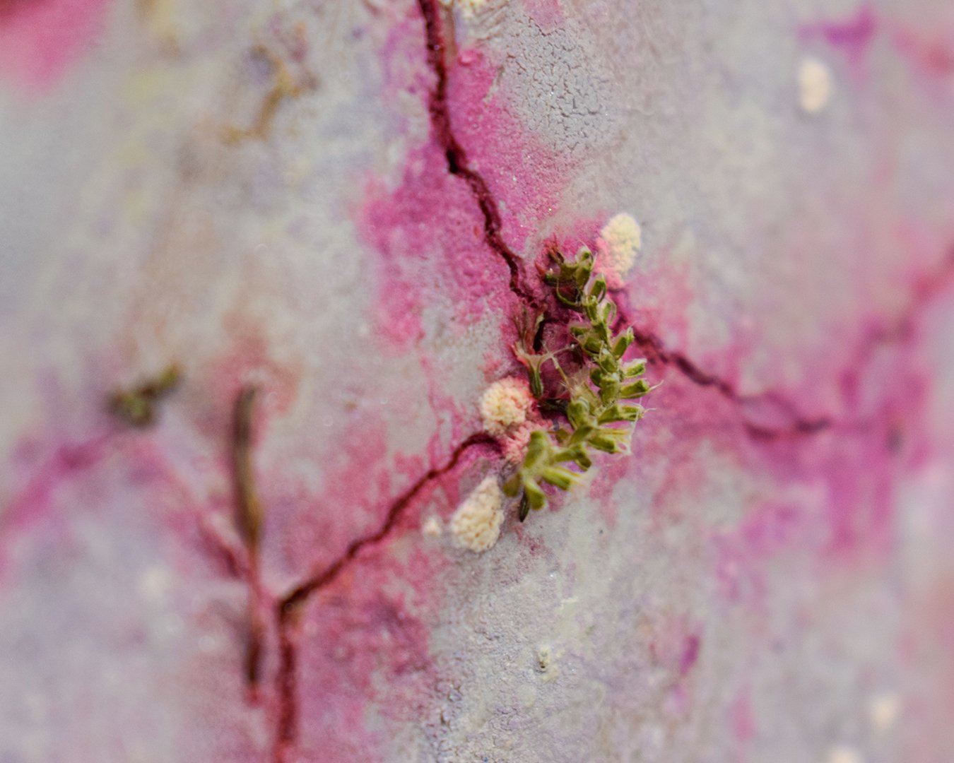 05_Carousel_paul smith copy.jpg