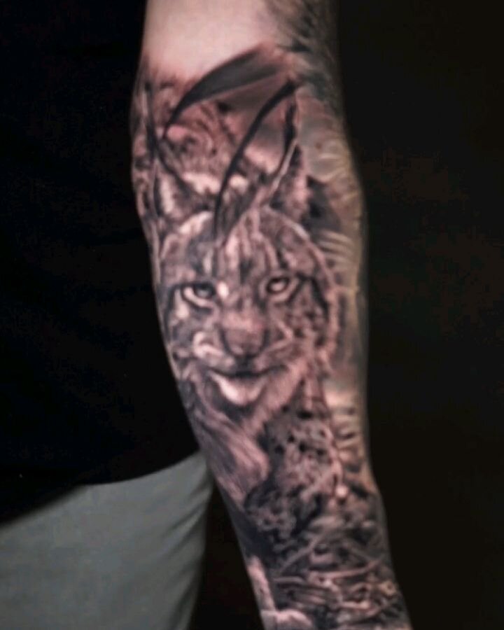 Adding to a nature sleeve with this Lynx piece 🐈

Check my bio for updates on taking new appts. Continuation pieces please contact me as I'm booking April now and it's filling up very fast

Done using @pantheraink @metrixneedles

 
&bull;
&bull;
&bu
