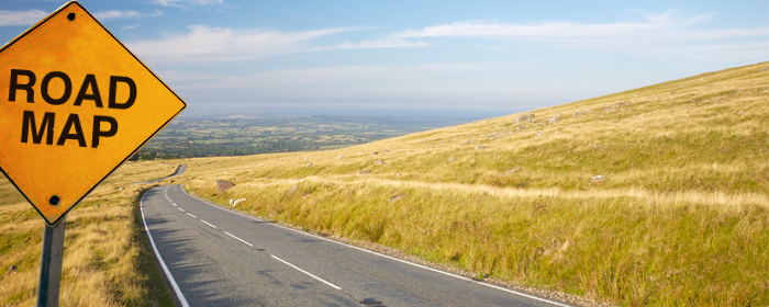 roadmap.jpeg