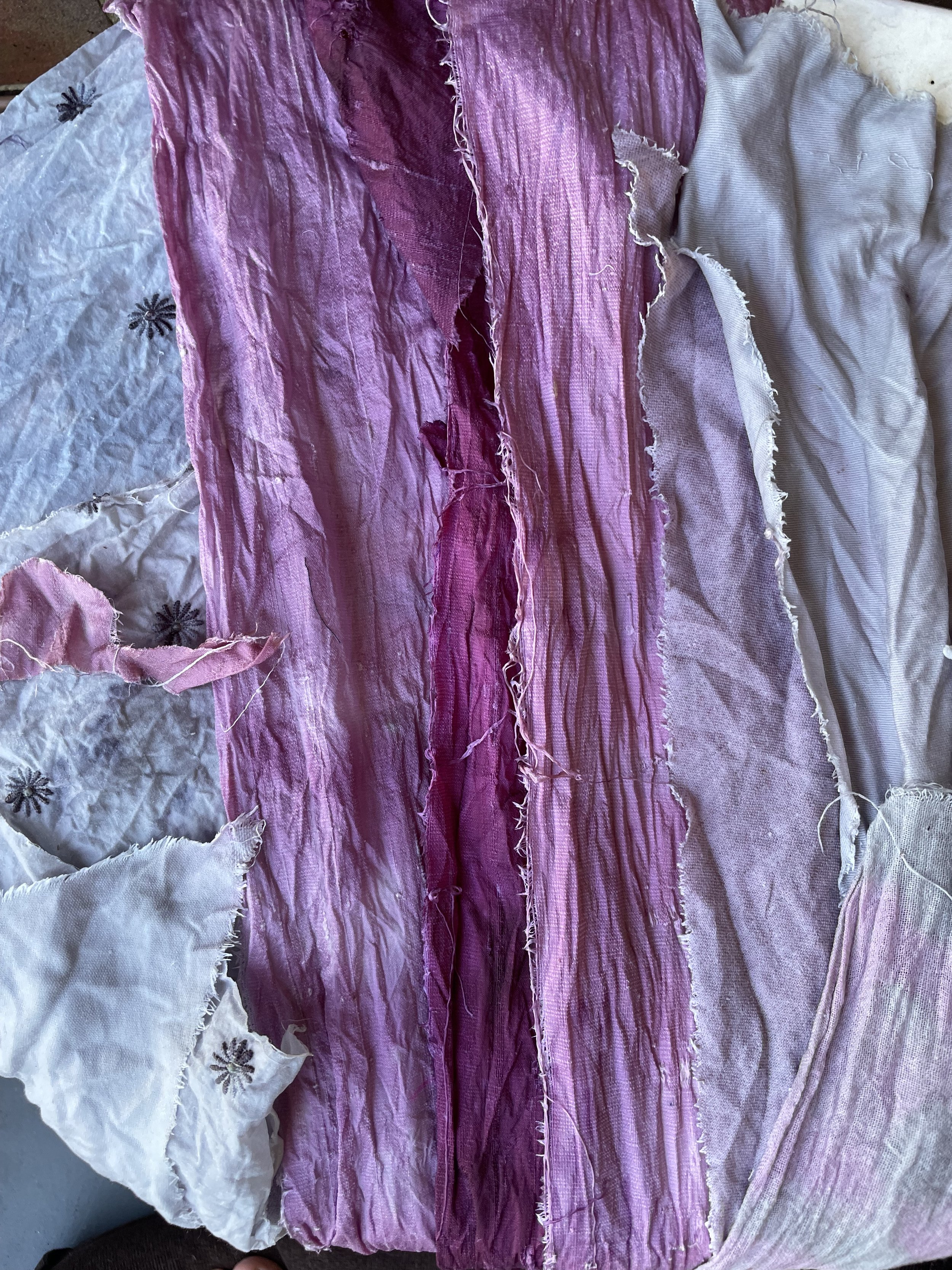 2nd batch wet Natural Dyed Fabric Elderberrry & blackcurrant.JPG