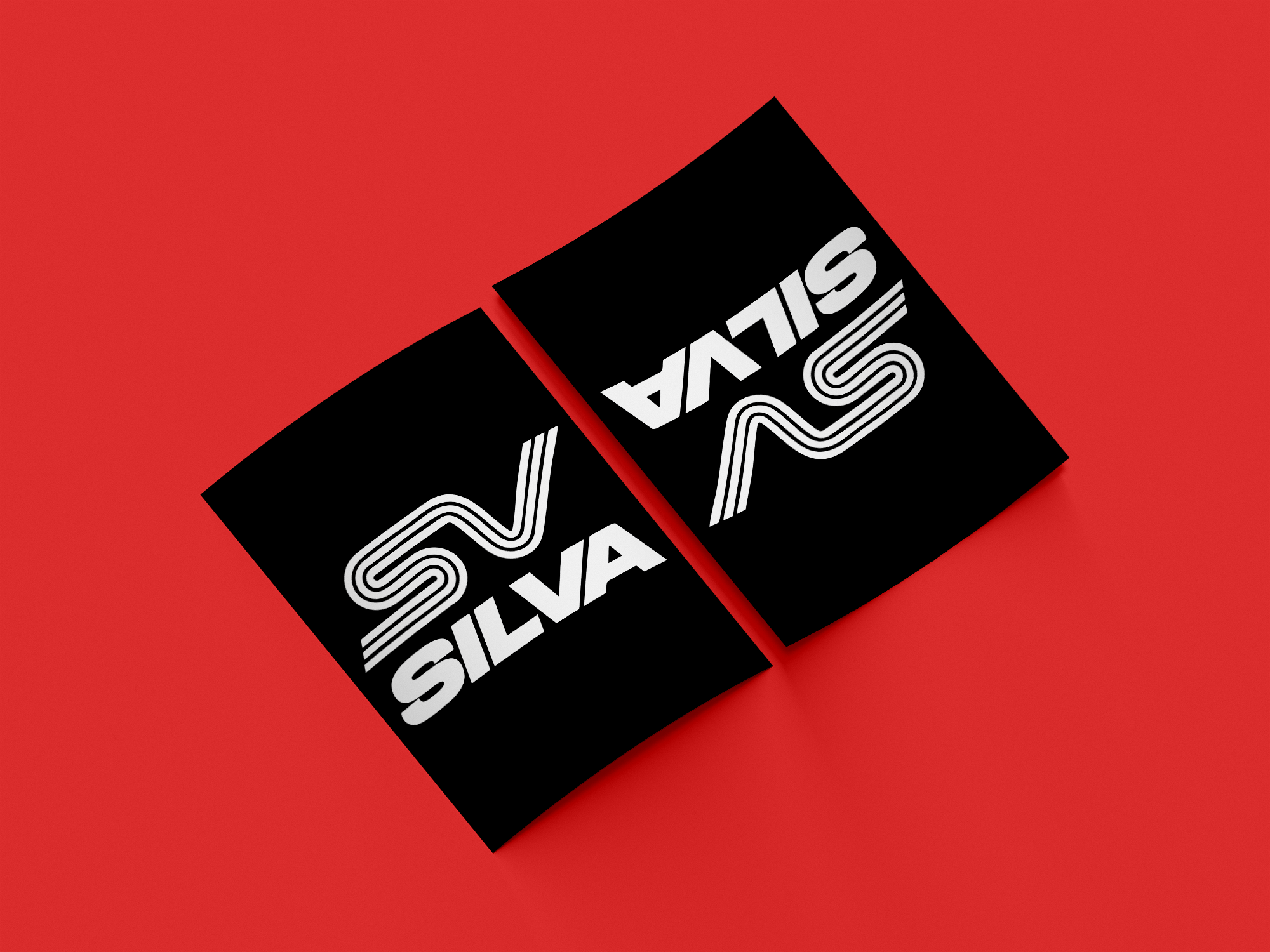 SILVA-2.png