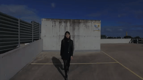 giphy (1).gif
