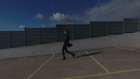 Topaz walking.gif