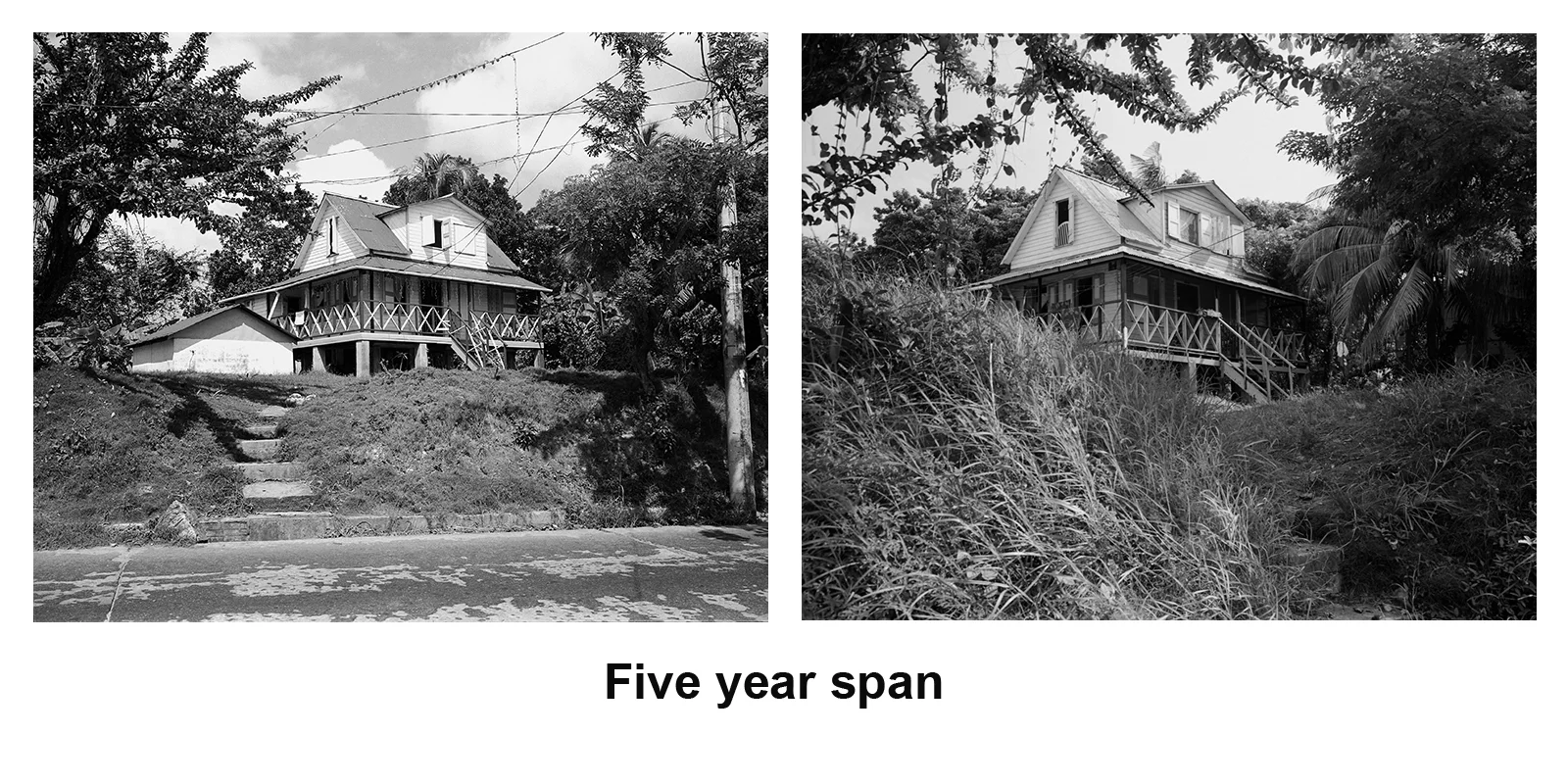 LS001 copy.jpg