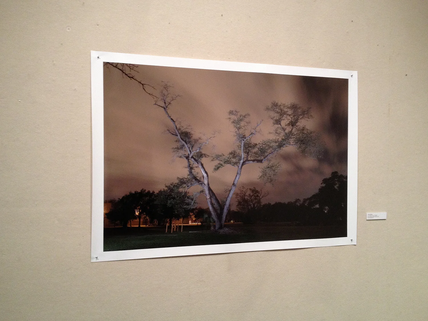 Miami Moments 2013, A benefit exhibition for Miami-Dade Public Library