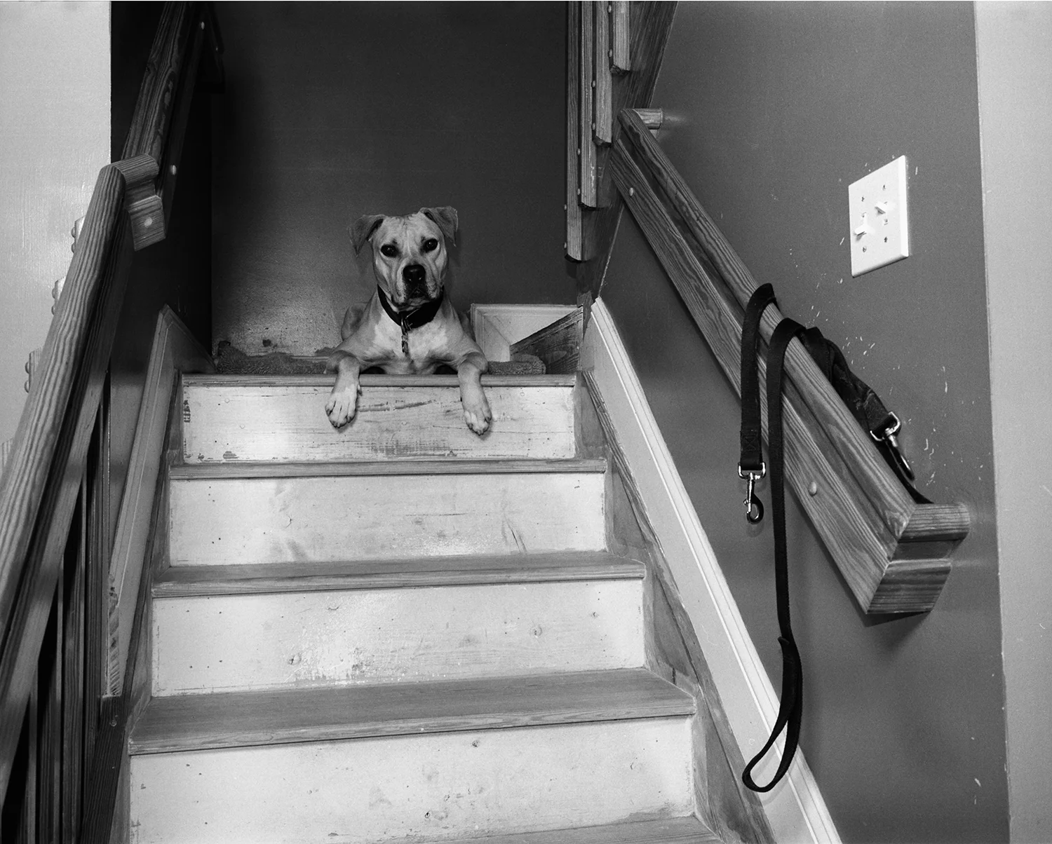 TonyChirinos_Pit002.jpg