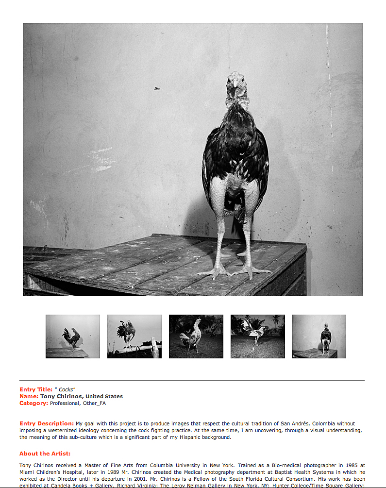 Honorable Mention in the 2012 International Photography Award sponcered by The Lucie Foundation