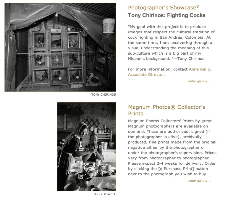 Photo-eye, Photographer’s Showcase, Tony Chirinos: Fighting Cocks, Santa Fe, New Mexico, 2013
