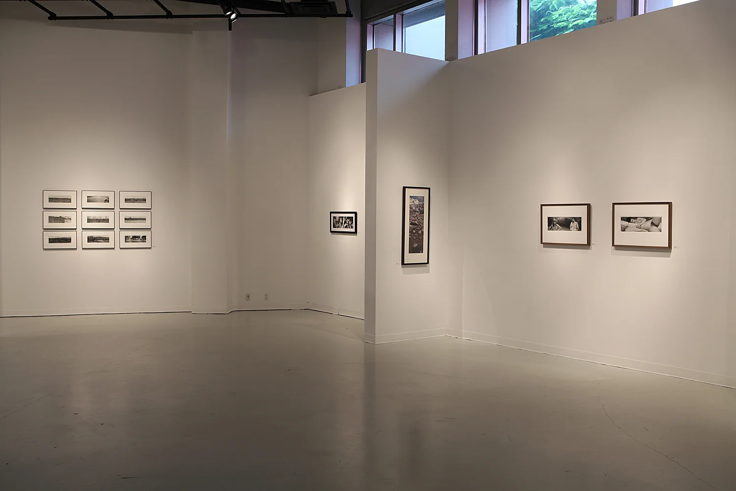Pannaroma, exhibition