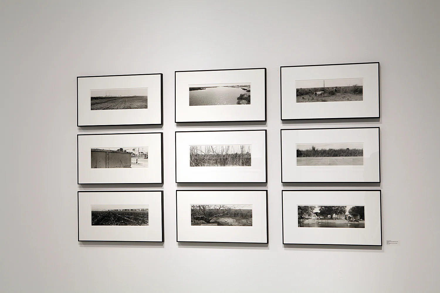 Pannaroma, exhibition