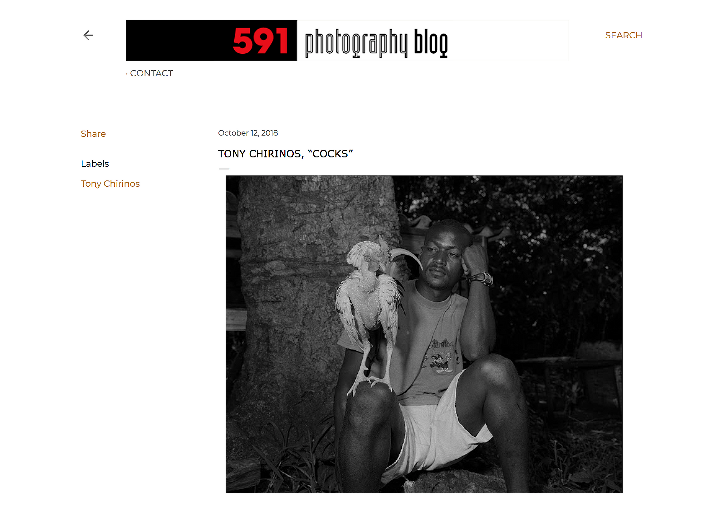 591photography, 591 photography blog, featuring Tony Chirinos, “Cocks” October 12, 2018