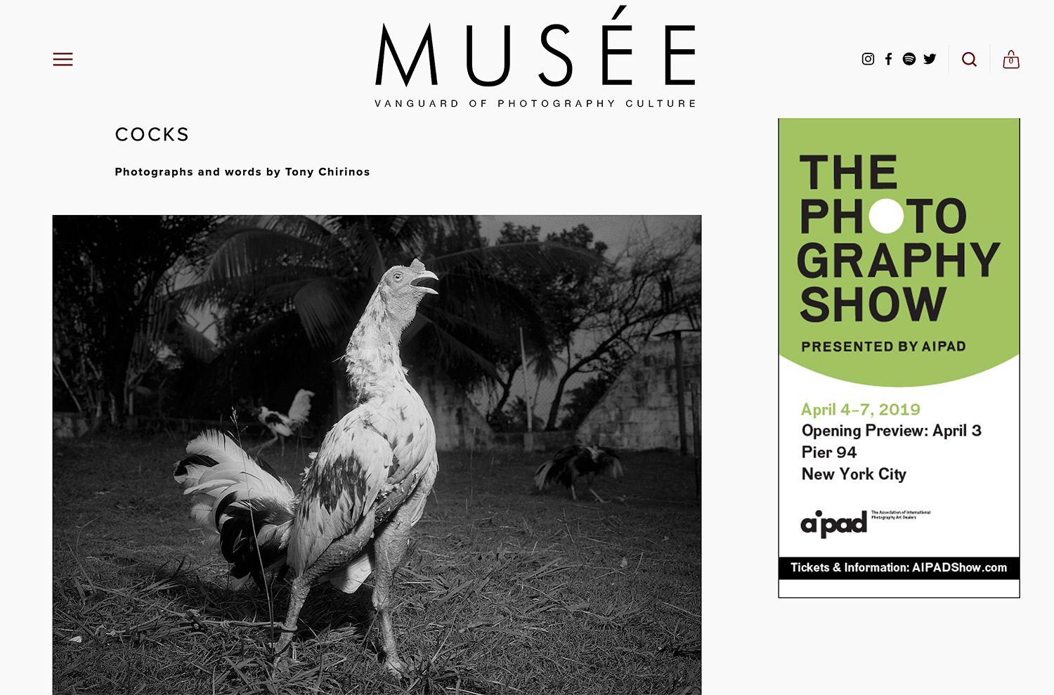 Musée Magazine, Vanguard of Photography Culture, March 2019